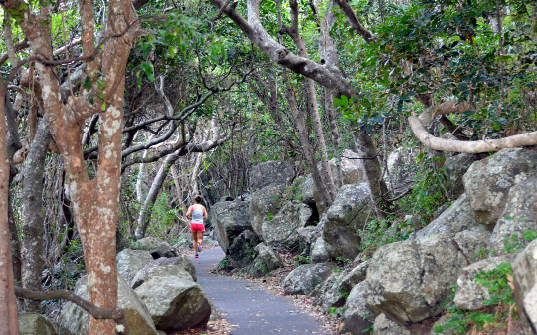 Burleigh Head National Park